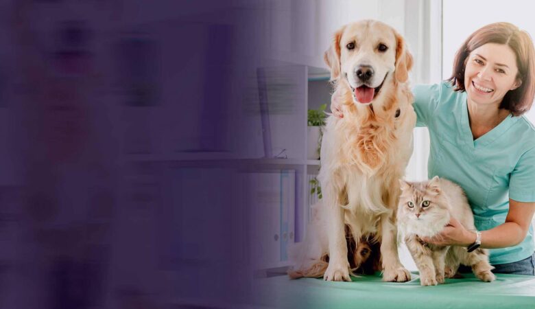 Antalya’da Güvenli ve Profesyonel Pet Nakil Hizmeti