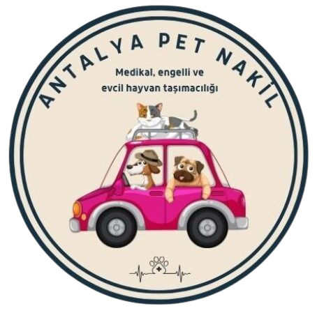 Antalya Pet Nakil | Güvenli Evcil Hayvan Taşımacılığı